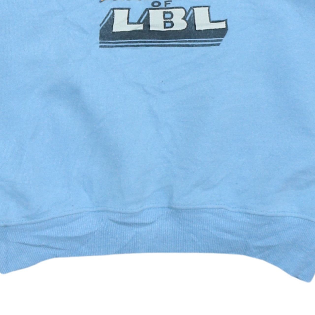 Hanes Blue Sweatshirt Mens L image 5