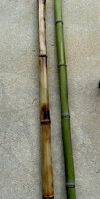 Flame Cured bamboo 1  Diameter Pole 6 Feet