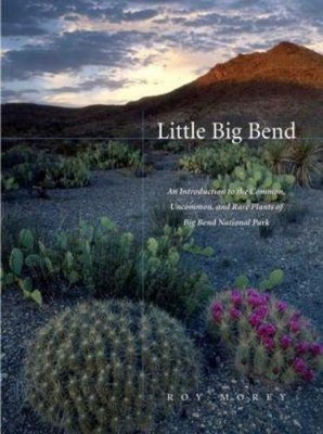 Roy Morey Little Big Bend (Taschenbuch) (US IMPORT)