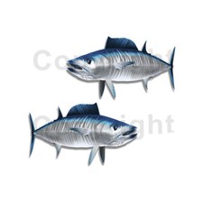 Wahoo Sticker Decal Fishing Rv Boat Car Truck Camper Trailer F100 2 Pack