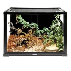 best corn snake starter kit