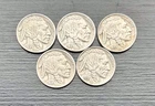 Lot Of 5 1936 P Buffalo Nickel Philadelphia Mint Full Date Horn And Tail Visible