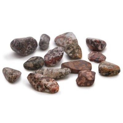 24X Mittel Leopard Skin Jasper Tumble Stones CRYSTAL Heilset AW Gifts