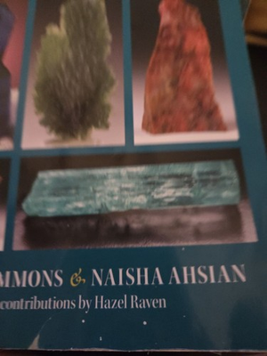 #ad #ad Book of Stones : Who They Are and What They Teach by Naisha Ahsian and Robert... $19.98