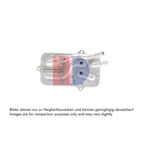 ÖLküHler MotoröL AKS Dasis 046039N FüR Audi A8 D3 A6 C6 Avant