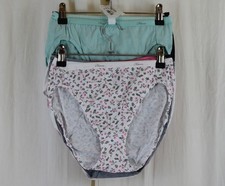 Hanes 10 PACK Womens High-cut Panties High-waisted Briefs Multicolor Size 6 M 