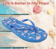 Flamingo Blue And Pink Women s Flip Flops Size 9-10