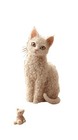 Adorable Laperm Cat Vinyl Car Decal Sticker – Waterproof & Uv-Resistant