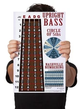 Laminated Upright Standup Bass Instructional Poster Notes Theory Wall Chart