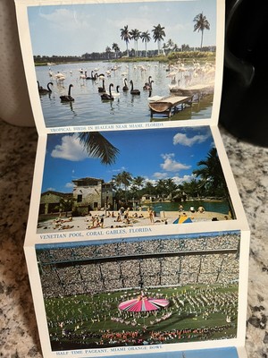 Greetings from Miami Florida, Gateway to the Americas Vintage Postcard