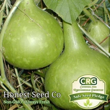 20+ Bottle Gourd Seeds Non-GMO Birdhouse Craft Asian Buddha Squash Vegetable USA