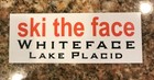 Lake Placid Ski Sticker - Whiteface Skiing Snowboard New York Adirondacks Snow
