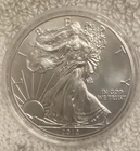 2012 American Silver Eagle 1 oz 99.9% Fine Silver Uncirculated Flawless Gem