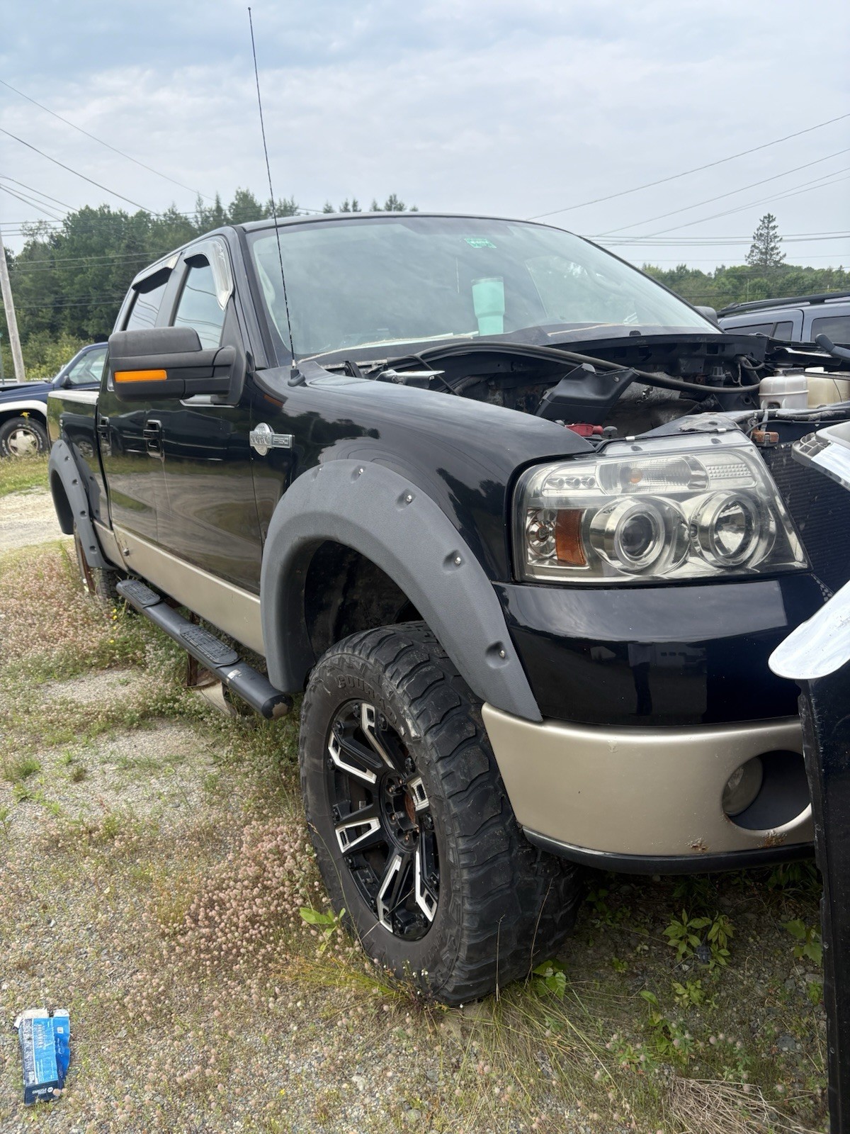 2007-2008 Ford F150 Automatic Transmission 5.4L