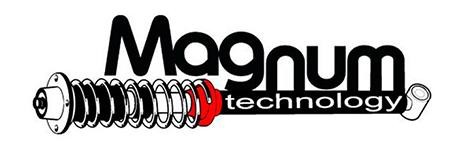 FEDERBEINLAGER DOMLAGER VORNE MAGNUM TECHNOLOGY A7M005MT I NEU OE QUALITÄT - Bild 4 von 6