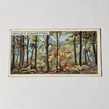 1915 WILLS Overseas Dominions Cigarette Card No. 38 IN THE BUSH 8A6
