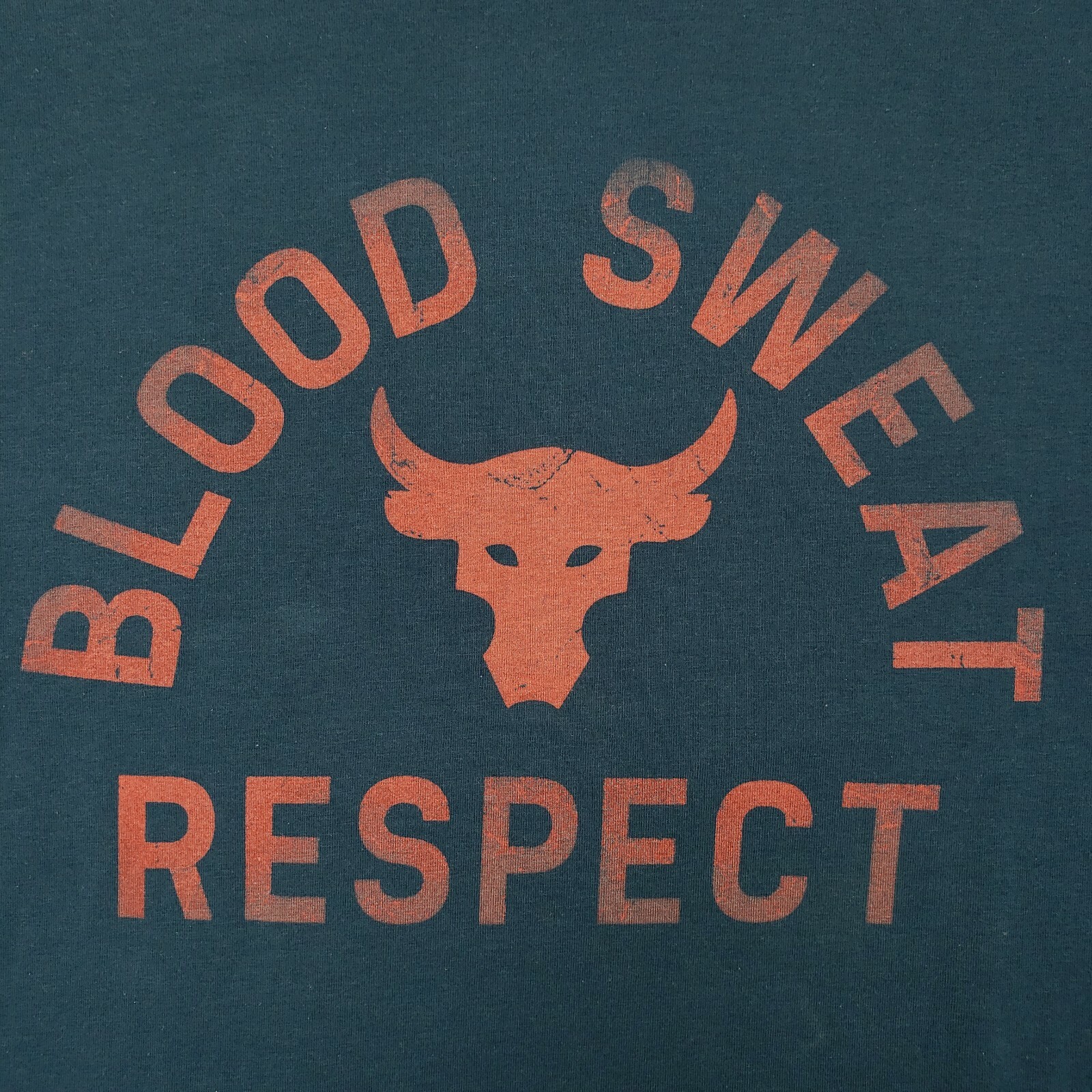Blood Sweat Respect Wallpaper Under Armour X Project Rock Brahma - Main Image