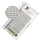 ?Pre made Russian Lashes Volume Fans 10D Mink Eyelash Extensions C D Curl?