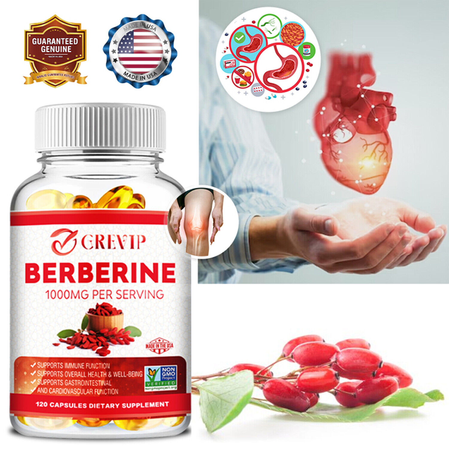 Berberina 1000 mg - Menor azúcar en la sangre y colesterol, corazón y salud