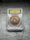 1995 1 oz Silver American Eagle Toned In Case (Uncirculated) Beautiful Color 🔥