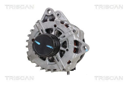 Triscan Lagerung, Lenker 8500 29889 FüR Audi Seat Skoda VW-image