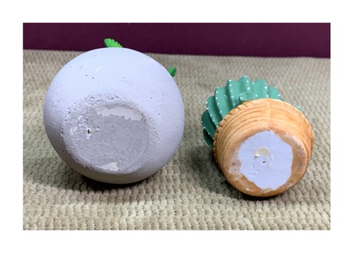 2 DIFFERENT CACTUS PLANTS IN THEIR OWN LITTLE PLANTERS DECOR - Picture 5 of 6