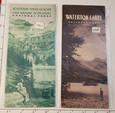 Carte Postale Ancienne Montana - Parc National Des Lacs Waterton - Fleur Langue De Barbe Bleue