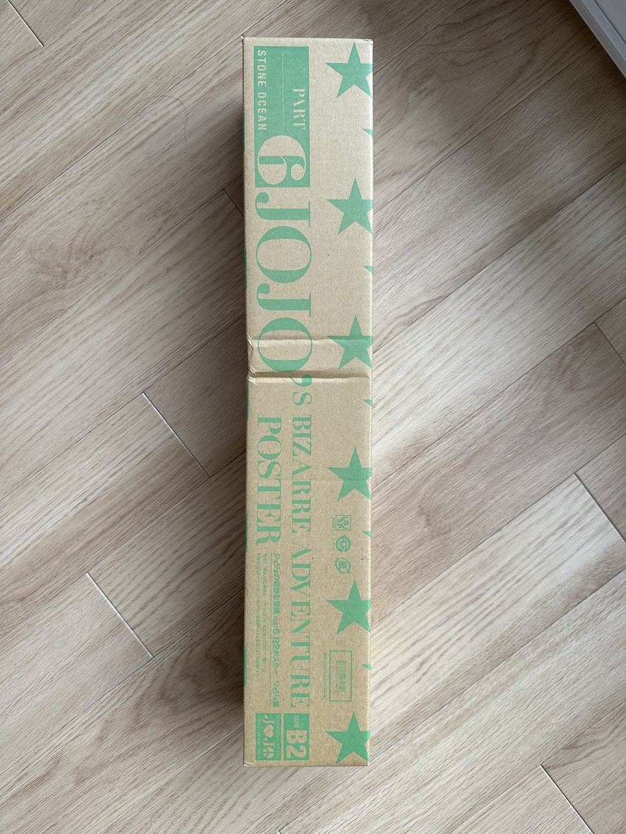 Jojo's Bizarre Adventure Part 6 Stone Ocean Jolyne Jotaro B2