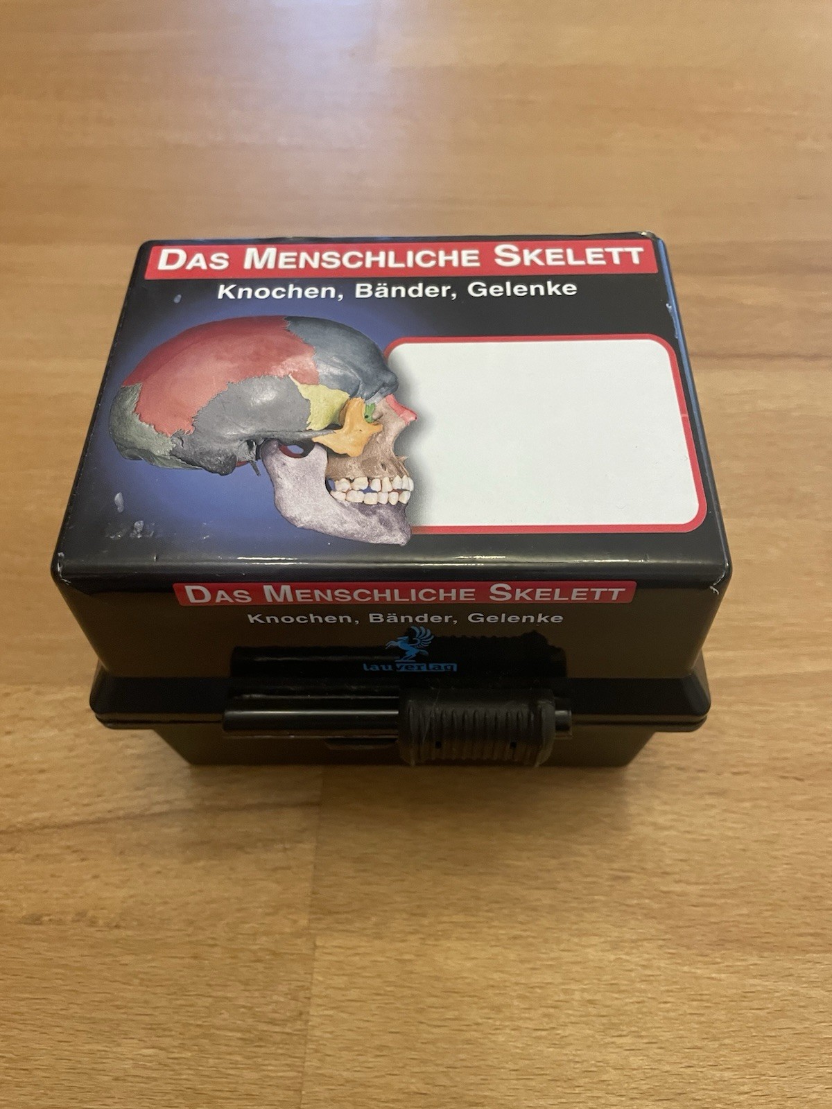 Das Menschliche Skelett - Anatomie-Lernkarten - Knochen, Bänder, Gelenke