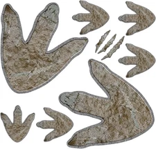 64 Pieces Dinosaur Footprints Floor Decals Decor Peel and Stick Beige 
