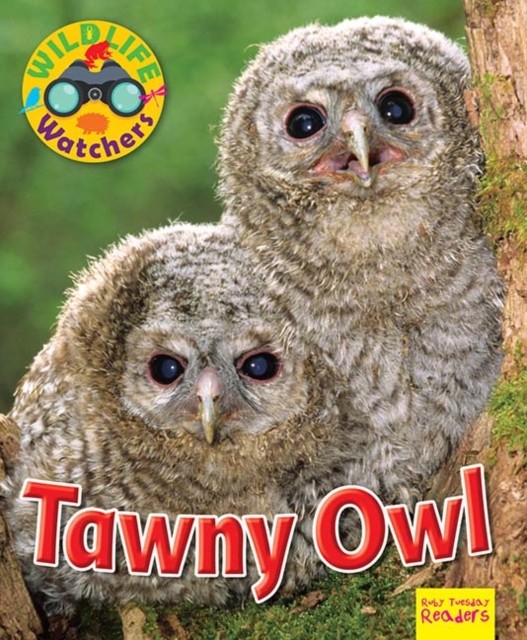 Wildlife Watchers: Tawny Owl by Ruth Owen (Paperback Book)