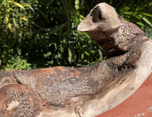 DRIFTWOOD Natural Freshwater TERRARIUM Aquarium DECOR Crafts 21" ARCH Thick BARK - Picture 14 of 16