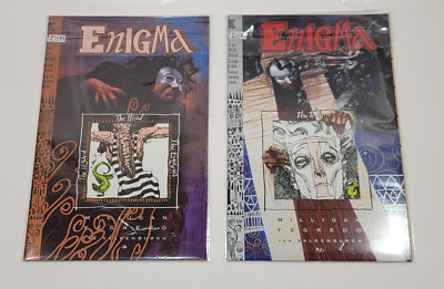 Enigma #1 #2 #8 Vertigo Comics Lot Of 2