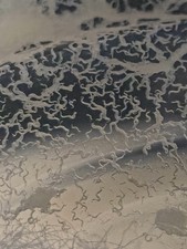 2 oz Live Microworm Starter Culture   Perfect Food for Fry