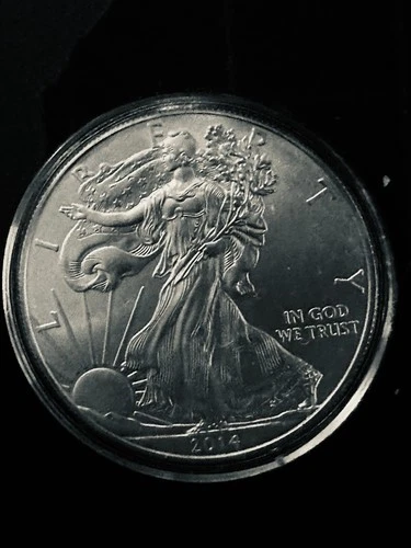 2014 - 1 oz American Silver Eagle Coin - One Troy oz .999 Bullion