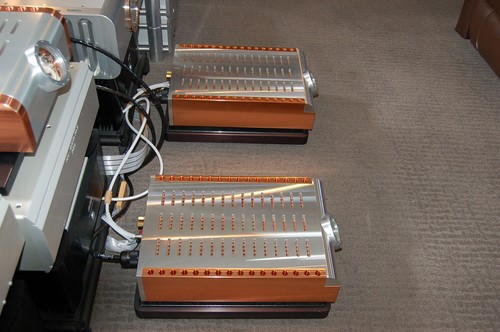 Dan D'Agostino Momentum 300 monoblocks (pair) - Picture 3 of 13