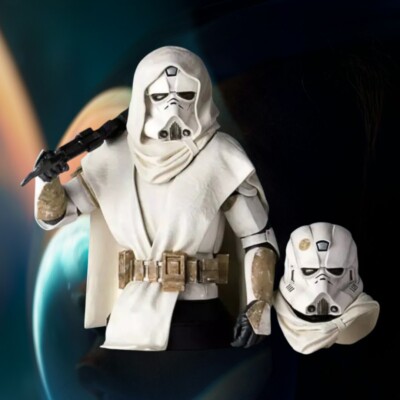 Star Wars Gentle Giant 2015 Commander Faie PGM Mini Bust ~ New In Original box