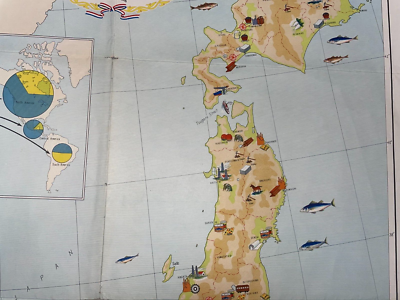 JAPAN c. 1958 VERY LARGE PICTORIAL MAP | eBay