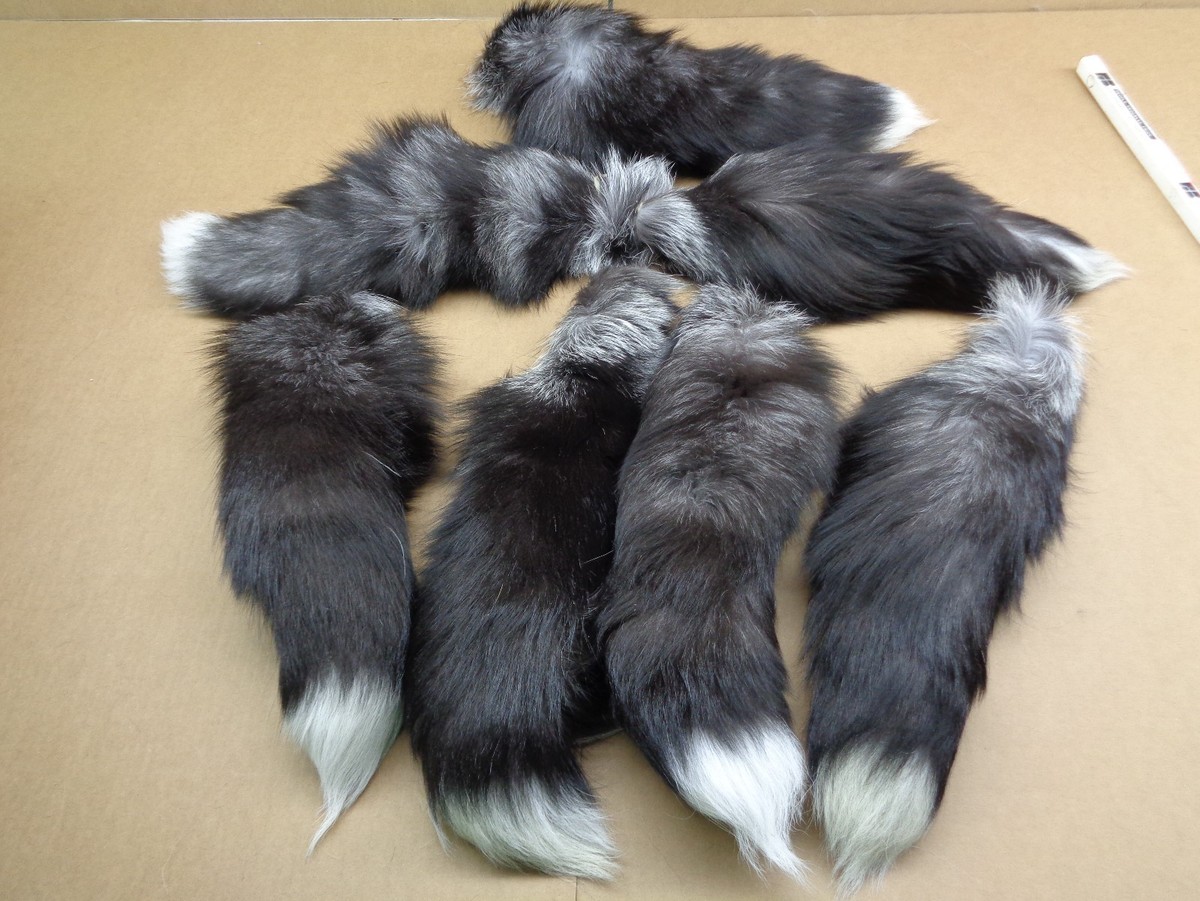 1 XXL Tanned Silver Fox Tail/Crafts/100% USA Real Fur/Purse | eBay