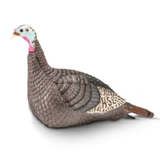 HS Strut Lite Standing Hen