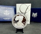 2008-W Proof American Silver Eagle with OGP & COA! 1 Oz .999 Silver