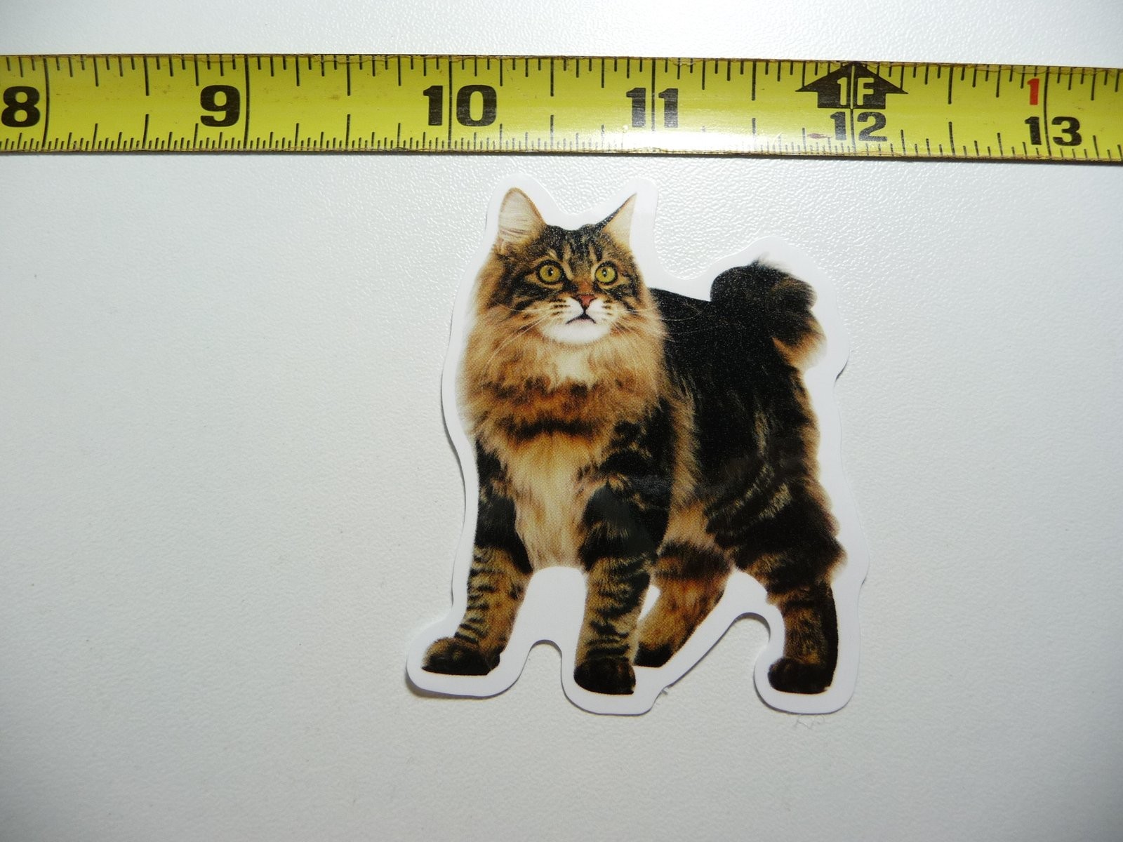 HAIRY CAT DECAL STICKER FELINE PET HOUSE KITTEN