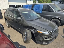 Used Deck Lid fits: 2015 Jeep Cherokee w/rear view camera privacy tint glass Gra