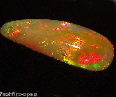 9,75 Carat! Brilliant Pure! Gem Welo Opal Rot-Gold-Grün Video Flashfire-Opals