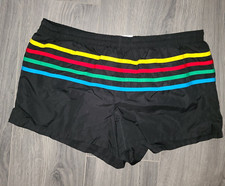VTG Retro Speedo men L Trunks Swim lined Shorts rainbow stripe Nylon