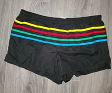 VTG Retro Speedo men L Trunks Swim lined Shorts rainbow stripe Nylon