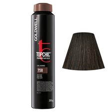 Goldwell Topchic Hair Color Can 7SB Silver Beige 8.6 oz