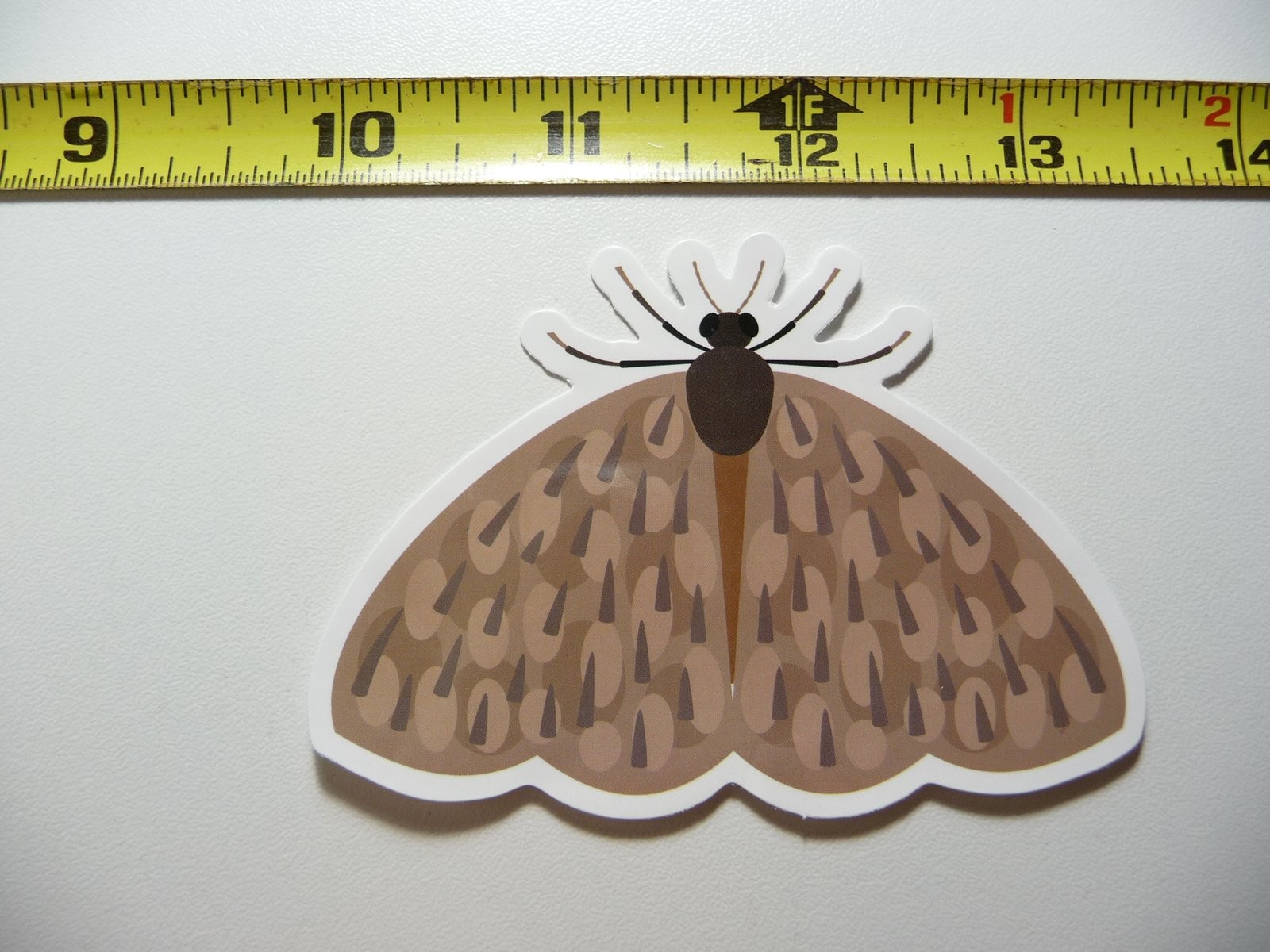 Cute Moth #6 Decal Sticker - Fun Bug Insect Design