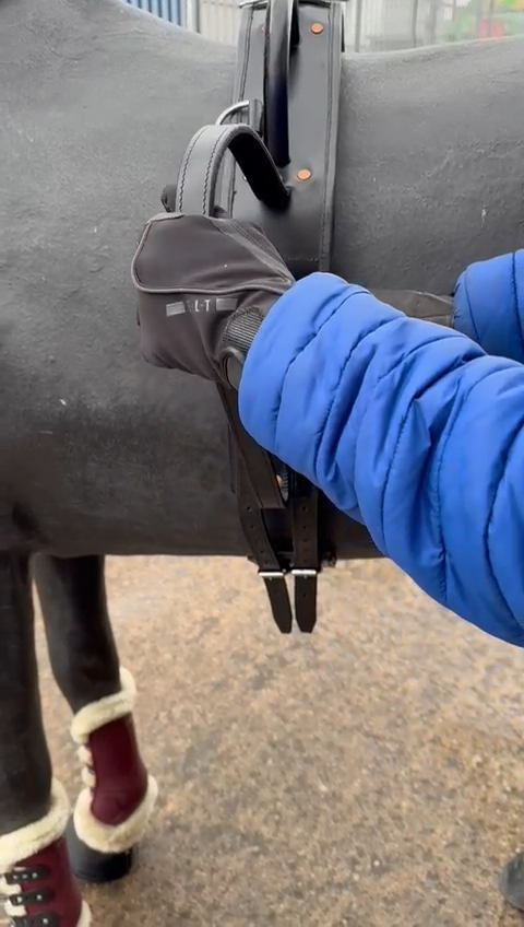 Surcingle De Voltige HORZE - Noir - Taille Unique, Avec Sangles Incluses