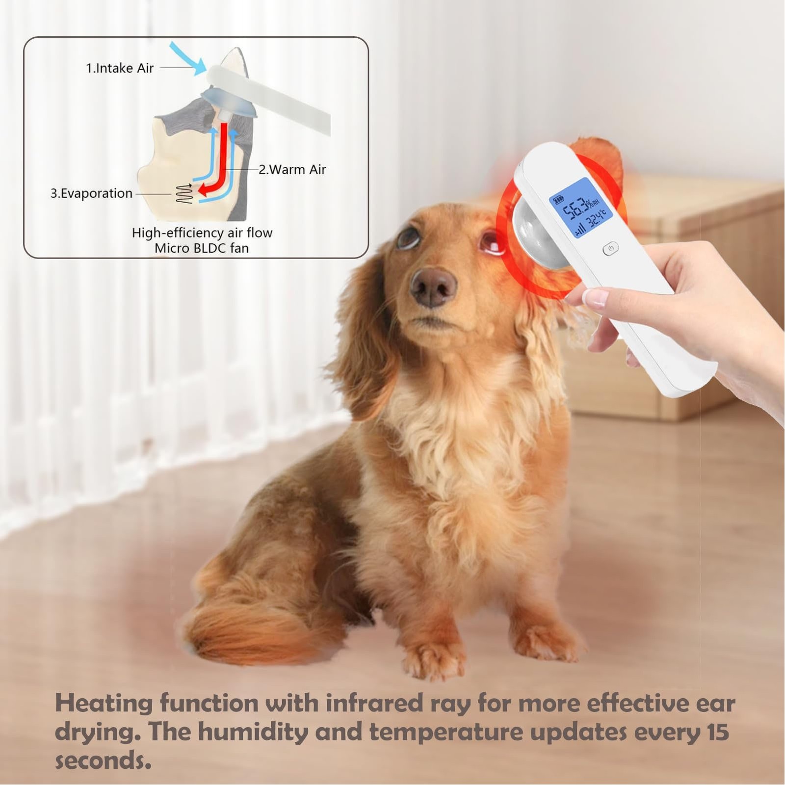 Powerful Pet Ear Dryer Quick Drying For Cats And Dogs Recommended